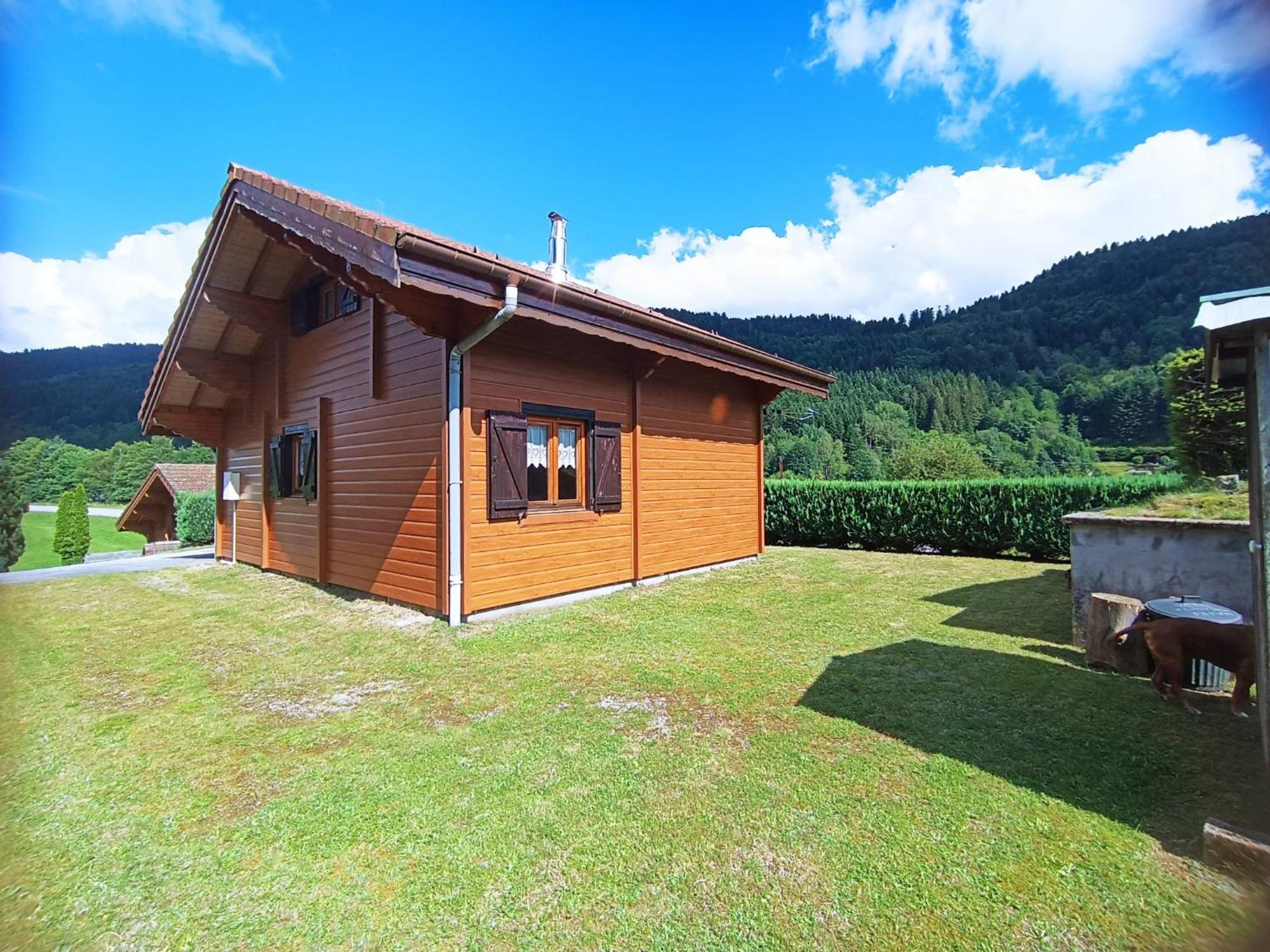 Le "Chalet De Minette" 2 Etoiles La Bresse Bagian luar foto