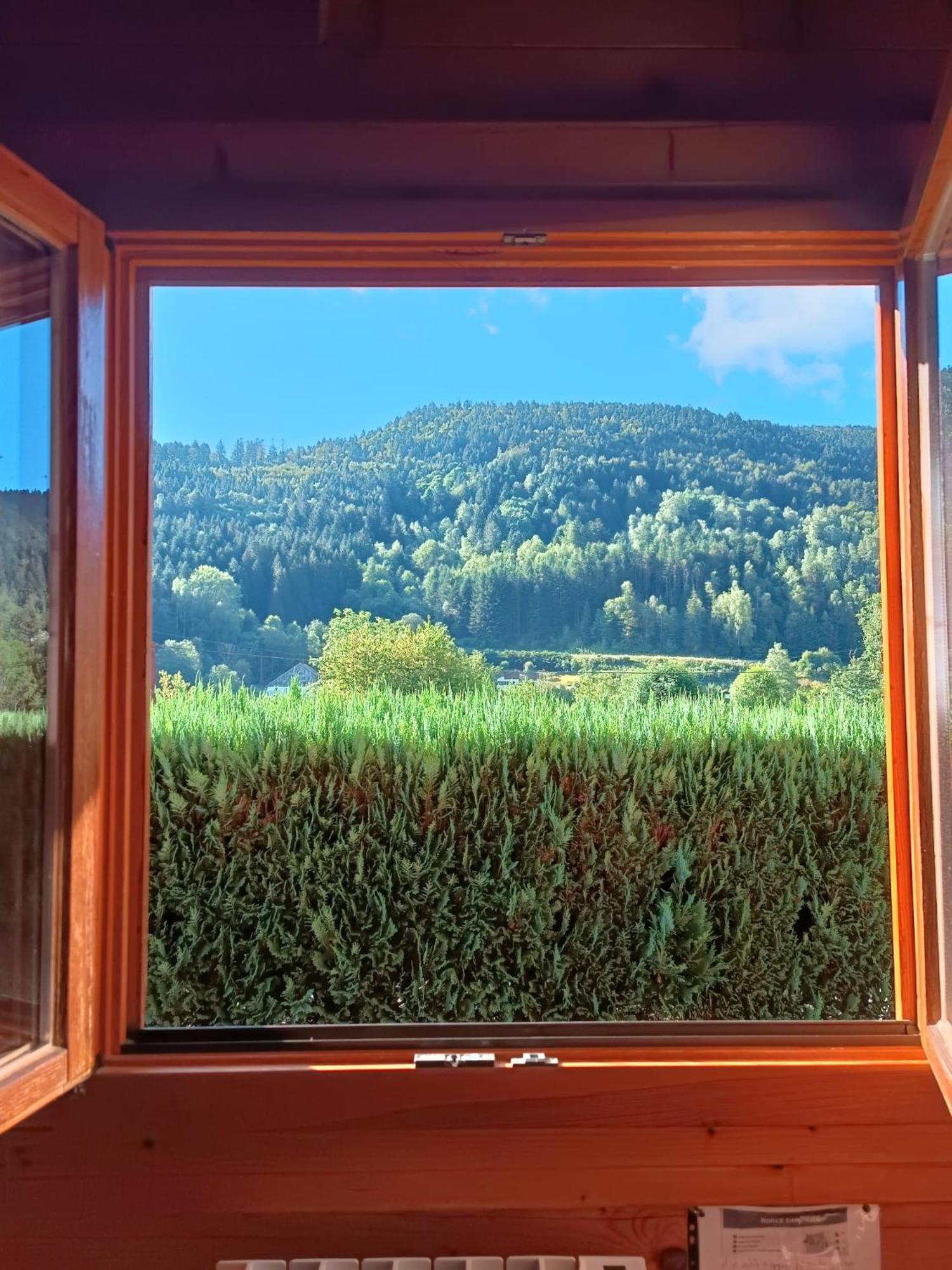 Le "Chalet De Minette" 2 Etoiles La Bresse Bagian luar foto